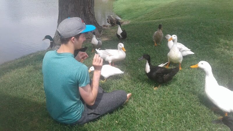 Brownstown Public Park - Brownstown, IN