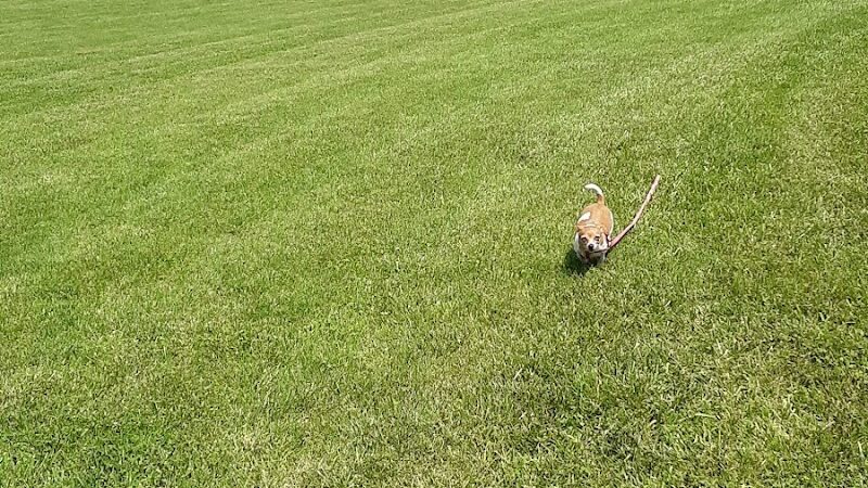 Brownstown Public Park - Brownstown, IN