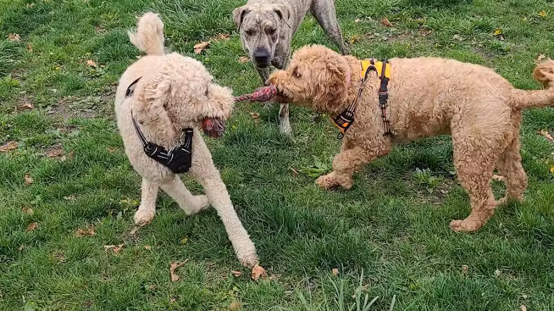 Brownstown Dog Park - Brownstown Township,