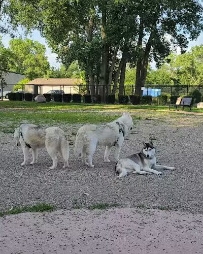 Brownstown Dog Park - Brownstown Township, MI
