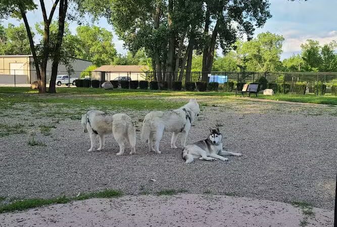 Brownstown Dog Park - Brownstown Township, MI