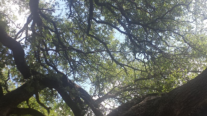 Coggin Park - Brownwood, TX