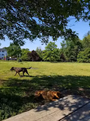 Brunswick Dog Park - Brunswick, OH