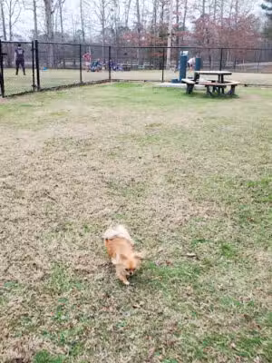 Bark Park - Bryant, AR