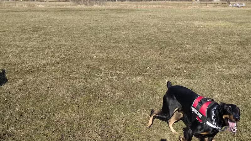 Field of Dreams Dog Park - Buchanan, MI