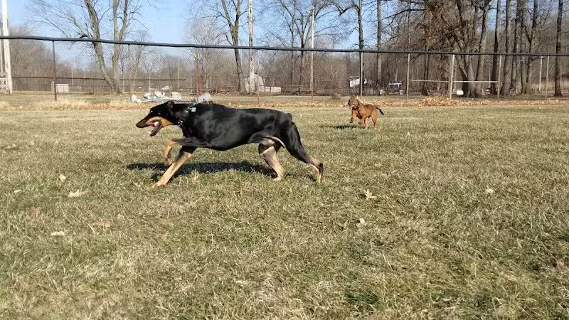Field of Dreams Dog Park - Buchanan, MI
