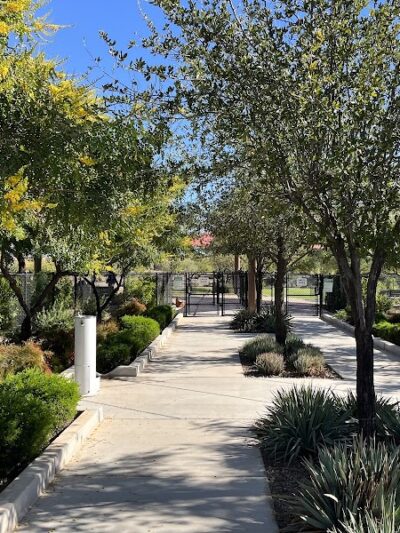 Dog Park - Buckeye, AZ