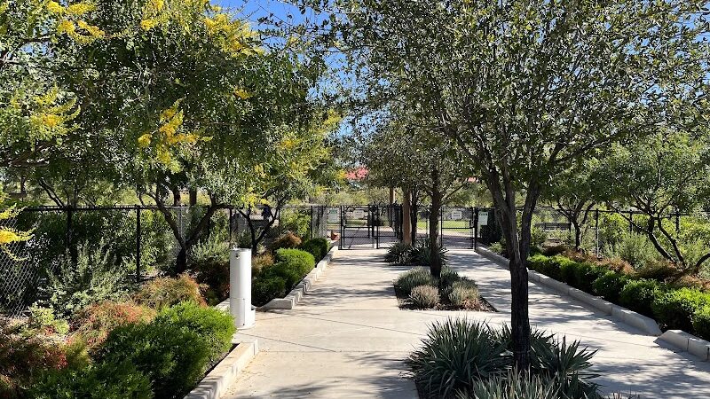 Dog Park - Buckeye, AZ