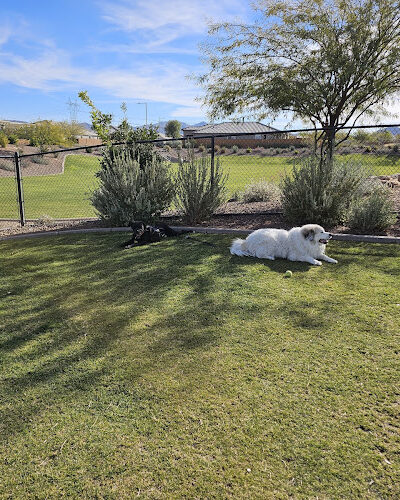 Dog Park - Buckeye, AZ