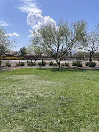 Dog Park - Buckeye, AZ