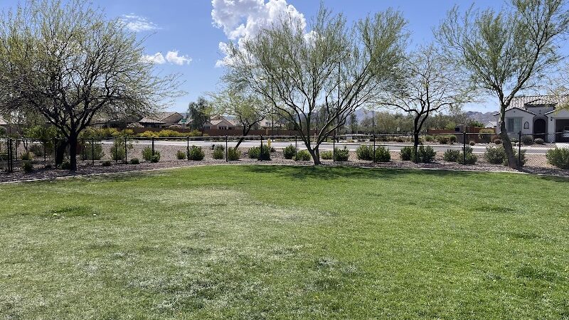 Dog Park - Buckeye, AZ