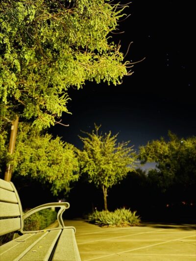 Dog Park - Buckeye, AZ