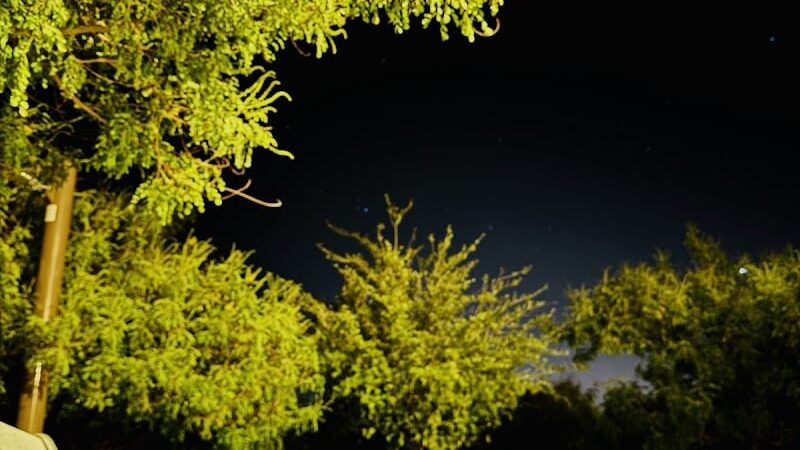 Dog Park - Buckeye, AZ