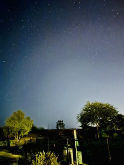 Dog Park - Buckeye, AZ