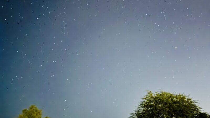 Dog Park - Buckeye, AZ