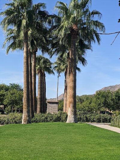 Hamilton's Run Park - Buckeye, AZ