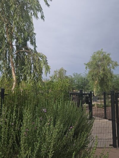 Marketside Dog Park at Verrado - Buckeye, AZ