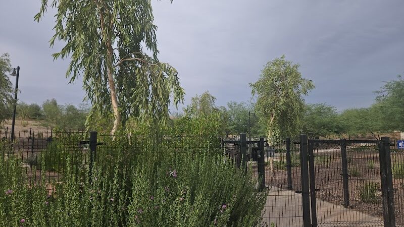 Marketside Dog Park at Verrado - Buckeye, AZ