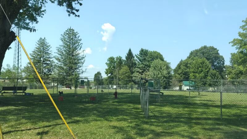 Buckhannon Dog Park - Buckhannon, WV