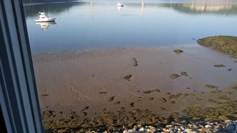 Fort Knox Park Inn - Bucksport, ME