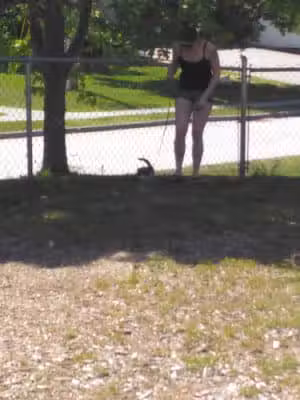 Ian's Playground - Bucksport, ME