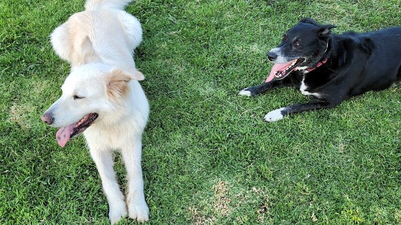 PAWS Park - Buellton, CA