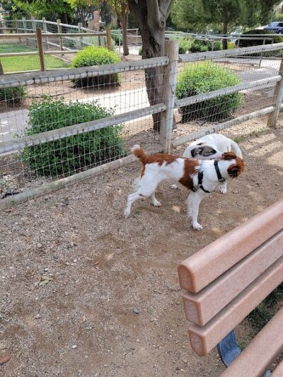 PAWS Park - Buellton, CA