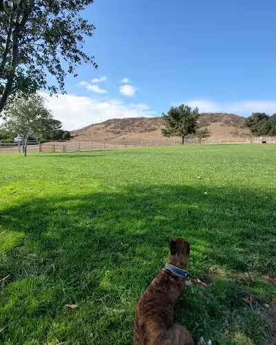 PAWS Park - Buellton, CA