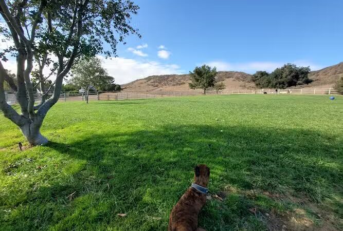 PAWS Park - Buellton, CA
