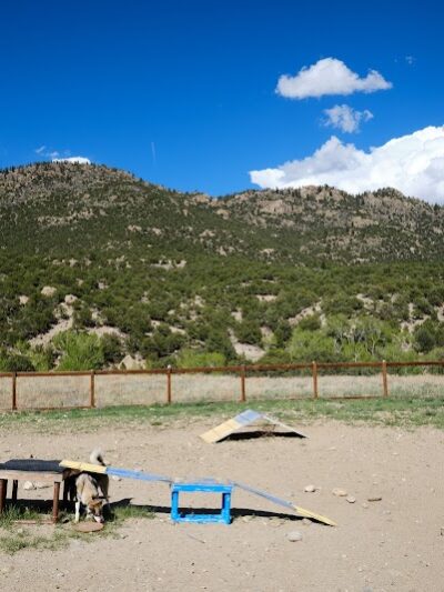 Riverpark Dog Park - Buena Vista, CO