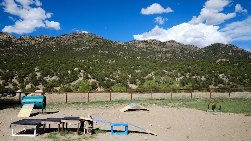 Riverpark Dog Park - Buena Vista, CO