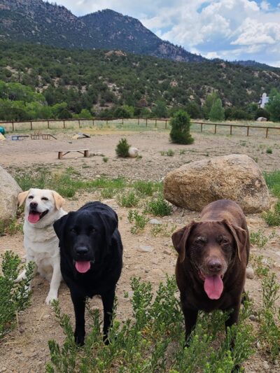 Riverpark Dog Park - Buena Vista, CO