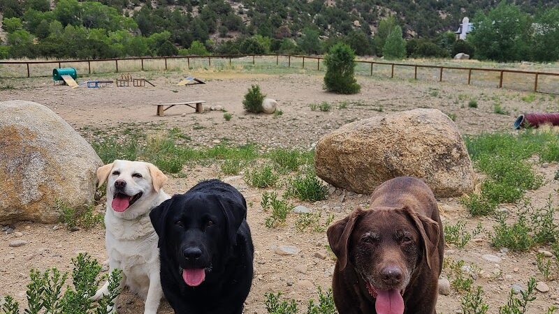 Riverpark Dog Park - Buena Vista, CO