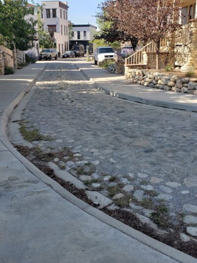 Riverpark Dog Park - Buena Vista, CO