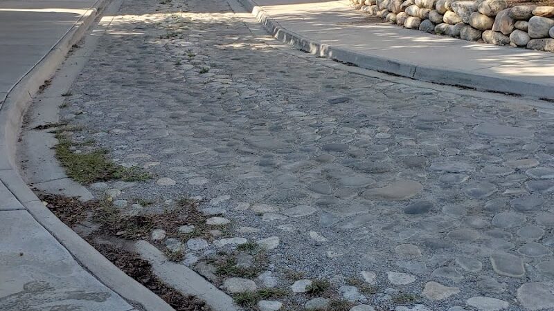 Riverpark Dog Park - Buena Vista, CO