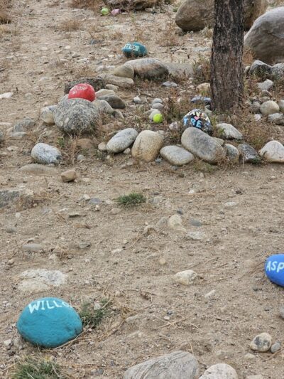 Riverpark Dog Park - Buena Vista, CO