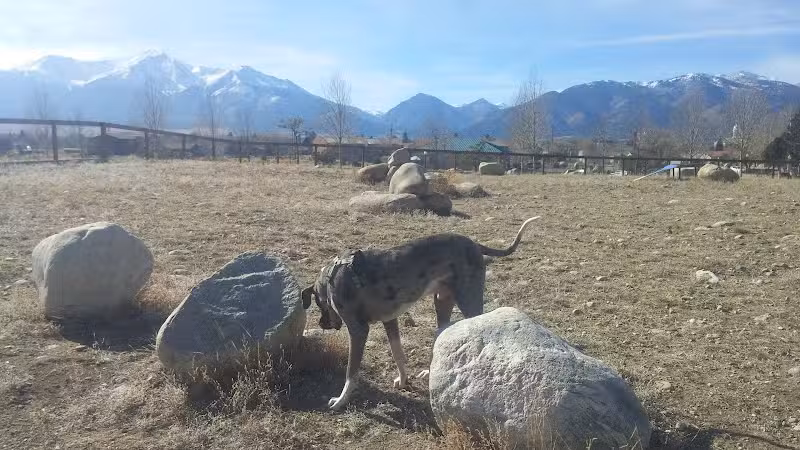 Riverpark Dog Park - Buena Vista, CO