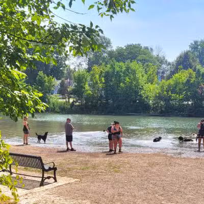 Bark Park - Buffalo, NY