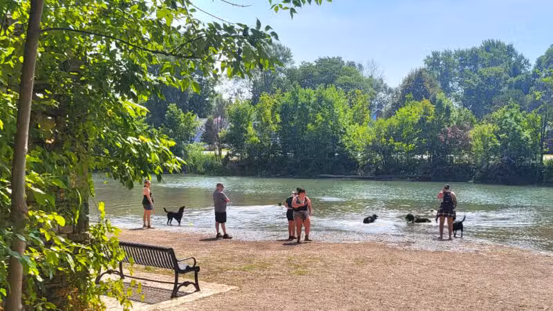 Bark Park - Buffalo, NY