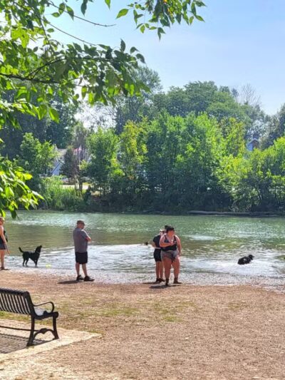 Bark Park - Buffalo, NY