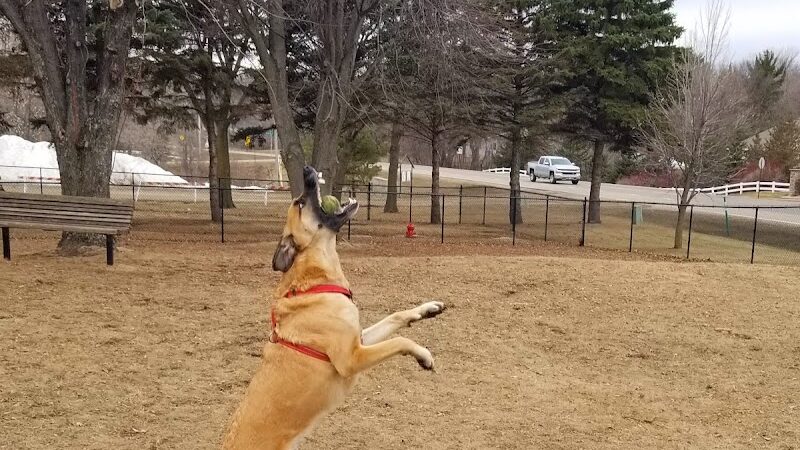 Gary Mattson Dog Park - Buffalo, MN