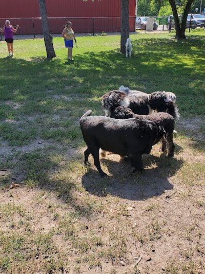 Gary Mattson Dog Park - Buffalo, MN