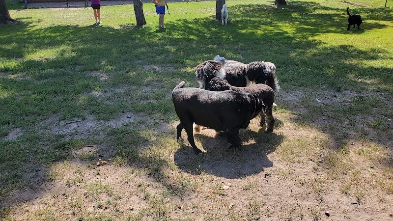 Gary Mattson Dog Park - Buffalo, MN