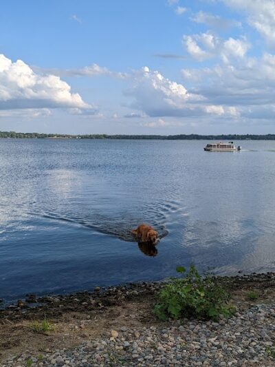 Gary Mattson Dog Park - Buffalo, MN