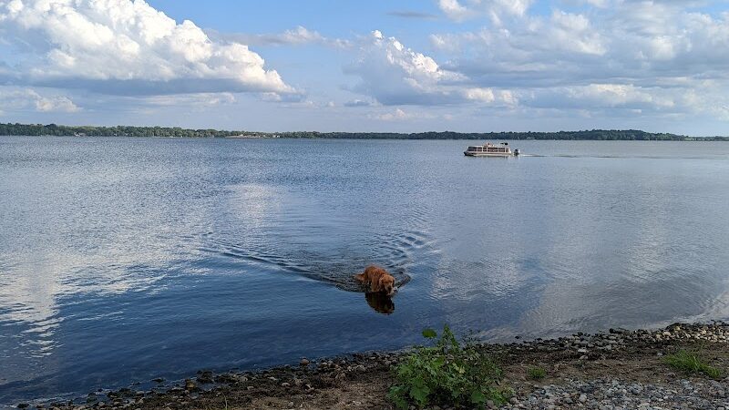 Gary Mattson Dog Park - Buffalo, MN