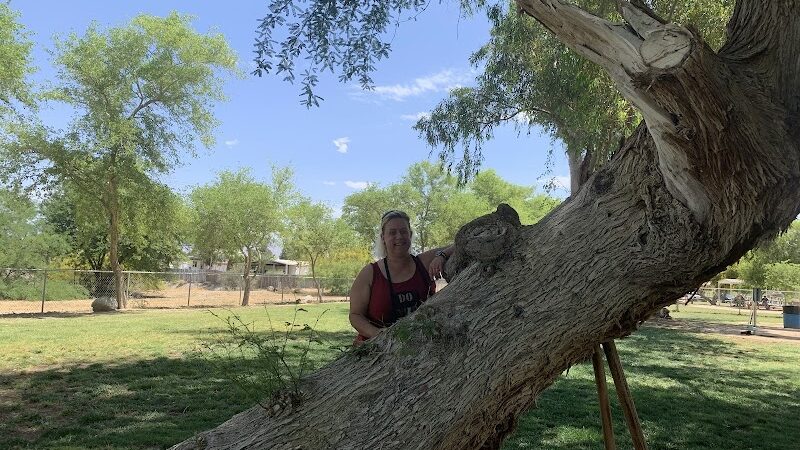 Bullhead City Dog Park - Bullhead City, AZ