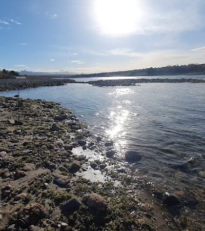 Bullhead City Dog Park - Bullhead City, AZ