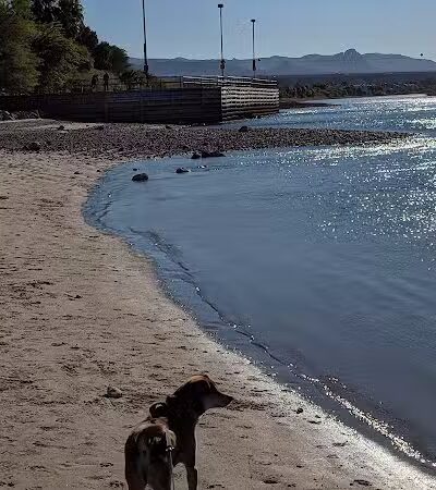 Bullhead City Dog Park - Bullhead City, AZ
