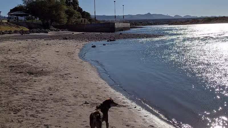 Bullhead City Dog Park - Bullhead City, AZ