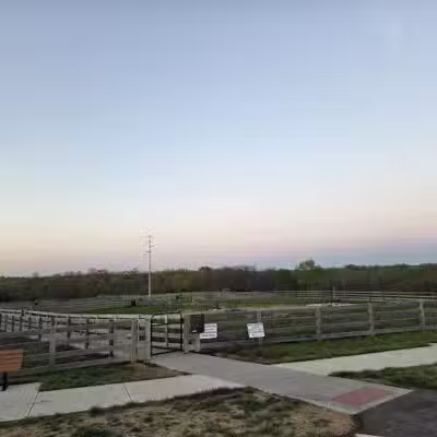 Idlewild Dog Park - Burlington,